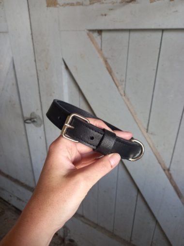 HALSBAND 2.5 CM BREED